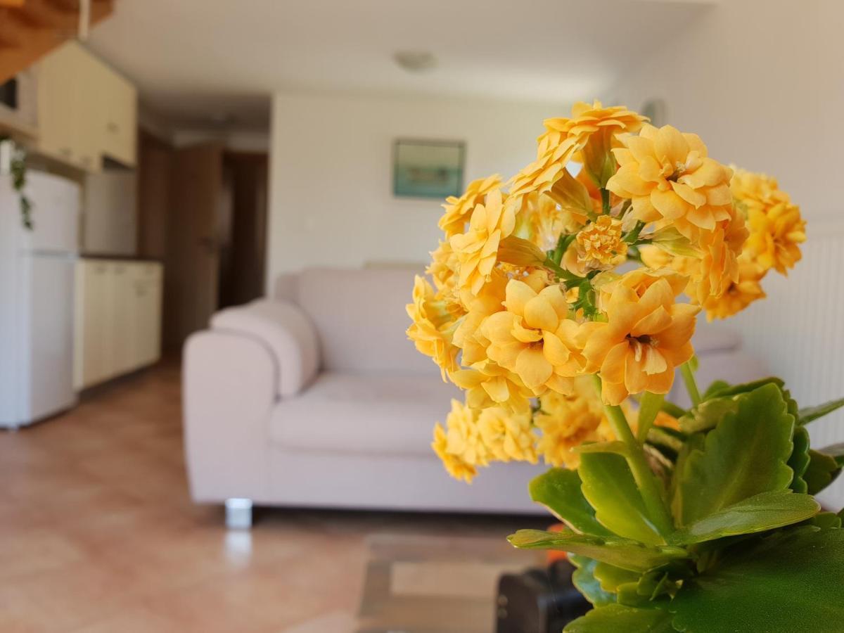 וודיצה Apartments Skocic מראה חיצוני תמונה