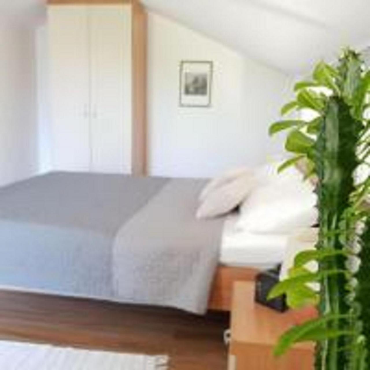 וודיצה Apartments Skocic מראה חיצוני תמונה